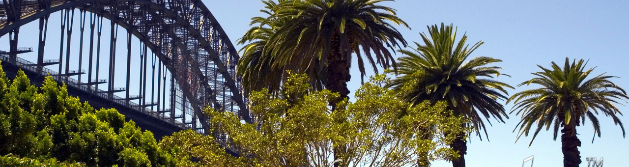 轰炸手机号在线使用